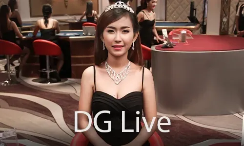 Live Casino Guide